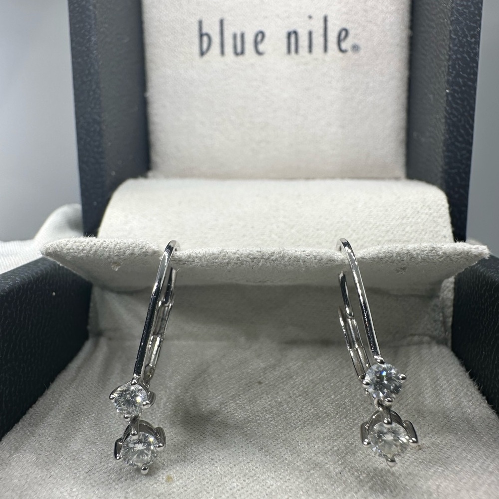 14KW Blue Nile Natural Diamond Earrings